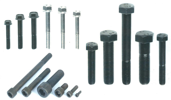 Standard Fasteners